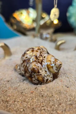 Cristina Oria Piezas Decorativas^Adorno Concha De Mar