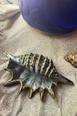 Cristina Oria Piezas Decorativas^Adorno Concha De Mar Verde