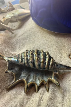 Cristina Oria Piezas Decorativas^Adorno Concha De Mar Verde