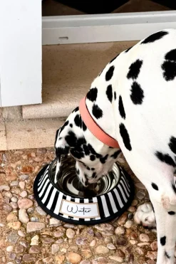 Cristina Oria Accesorios Para Mascotas^Bebedero Para Mascotas Pintado A Mano Blanco Y Negro