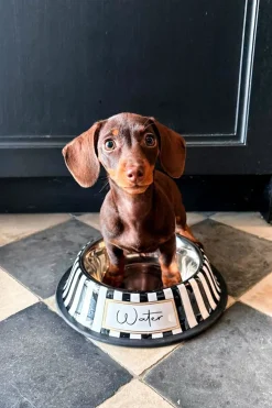 Cristina Oria Accesorios Para Mascotas^Bebedero Para Mascotas Pintado A Mano Blanco Y Negro