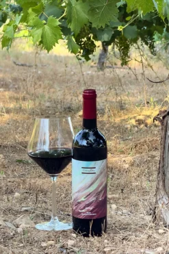 Cristina Oria Gadgets De Vino|Cajas Y Bolsas Gourmet^Caja Vino & Enfriador