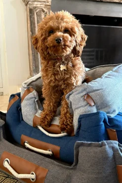 Cristina Oria Accesorios Para Mascotas^Cama para Mascotas de Tela