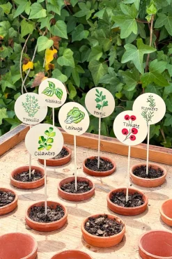 Cristina Oria Huerto Y Jardinería^Cartel Para Plantas De Jardín Tomillo