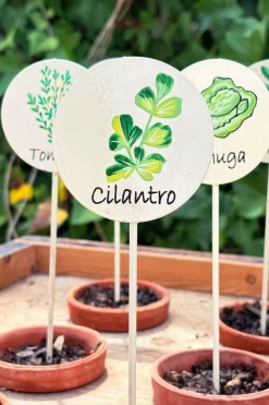 Cristina Oria Huerto Y Jardinería^Cartel Para Plantas De Jardín Cilantro