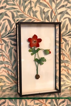 Cristina Oria Cuadros^Cuadro De Cristal Con Anémona Roja