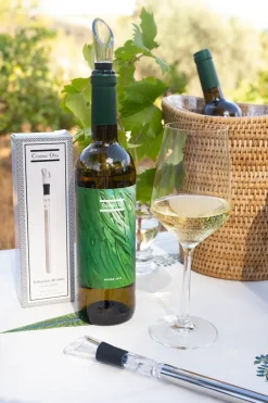 Cristina Oria Gadgets De Vino|Decantadores^Enfriador De Vino Con Decantador Co