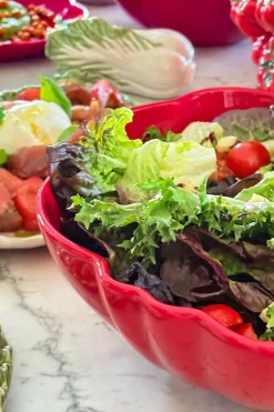 Cristina Oria Fuentes, Ensaladeras Y Cuencos^Ensaladera Diseño Tomate