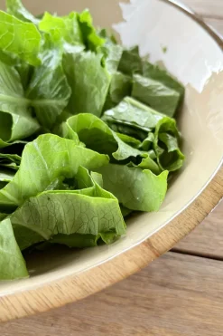 Cristina Oria Fuentes, Ensaladeras Y Cuencos^Ensaladera Grande De Madera Crema