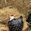 Cristina Oria Piezas Decorativas^Figura Decorativa Gallina Negra