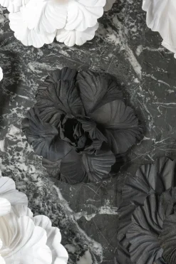 Cristina Oria Piezas Decorativas^Flor Iris 15X15 Papel Negro