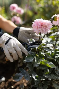 Cristina Oria Huerto Y Jardinería^Guantes Especial Jardinería