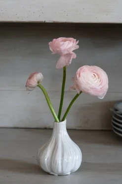 Cristina Oria Jarrones, Floreros Y Maceteros^Jarrón Con Diseño De Ajo Blanco