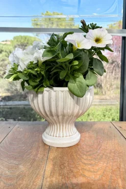 Cristina Oria Jarrones, Floreros Y Maceteros^Jarrón Diseño Copa De Porcelana Blanco Roto