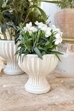 Cristina Oria Jarrones, Floreros Y Maceteros^Jarrón Diseño Copa De Porcelana Blanco Roto