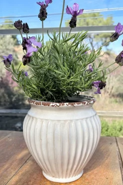 Cristina Oria Jarrones, Floreros Y Maceteros^Jarrón Diseño Vasija De Porcelana Blanco Roto