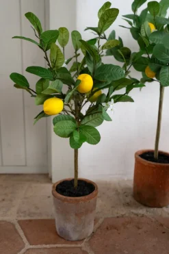 Cristina Oria Piezas Decorativas^Limonero Mediano