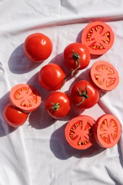 Cristina Oria Minichef^Mordedor Para Bebés Con Diseño De Tomate