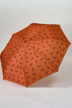 Cristina Oria Paraguas^Paraguas Teckel Marrón