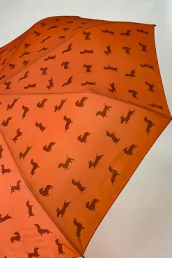 Cristina Oria Paraguas^Paraguas Teckel Marrón