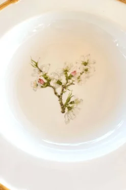 Cristina Oria Platos Y Bajoplatos^Plato Hondo Diseño Bambú & Flor Almendro