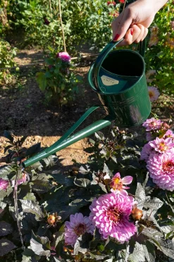 Cristina Oria Huerto Y Jardinería^Regadera De Metal Verde 1,5L