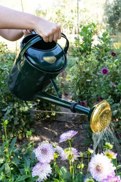 Cristina Oria Huerto Y Jardinería^Regadera De Metal Verde 9L