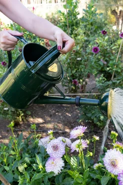 Cristina Oria Huerto Y Jardinería^Regadera De Metal Verde 5L