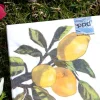 Cristina Oria Servilletas Y Accesorios^Servilletas Limones Grandes