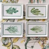 Cristina Oria Cuadros^Set 4 Cuadros Con Diseño De Hojas Verdes