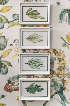 Cristina Oria Cuadros^Set 4 Cuadros Con Diseño De Hojas Verdes