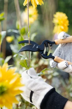 Cristina Oria Huerto Y Jardinería^Tijeras De Podar De Acero Y Madera