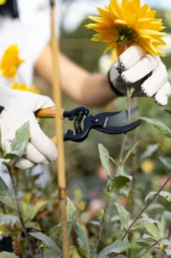 Cristina Oria Huerto Y Jardinería^Tijeras De Podar De Acero Y Madera